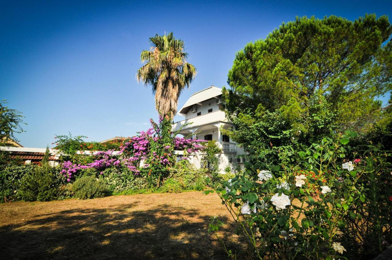 Apartments Villa Stankovic Tivat Extérieur photo